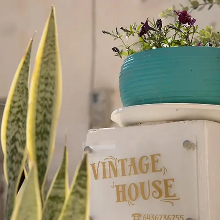 Vintage House Naxos Glinado Naxos