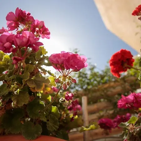 Vintage House Naxos Σπίτι διακοπών *